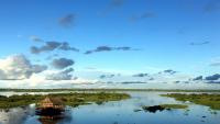 Amazon Photo